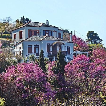 Stolios Apartment Skopelos Town Exterior photo